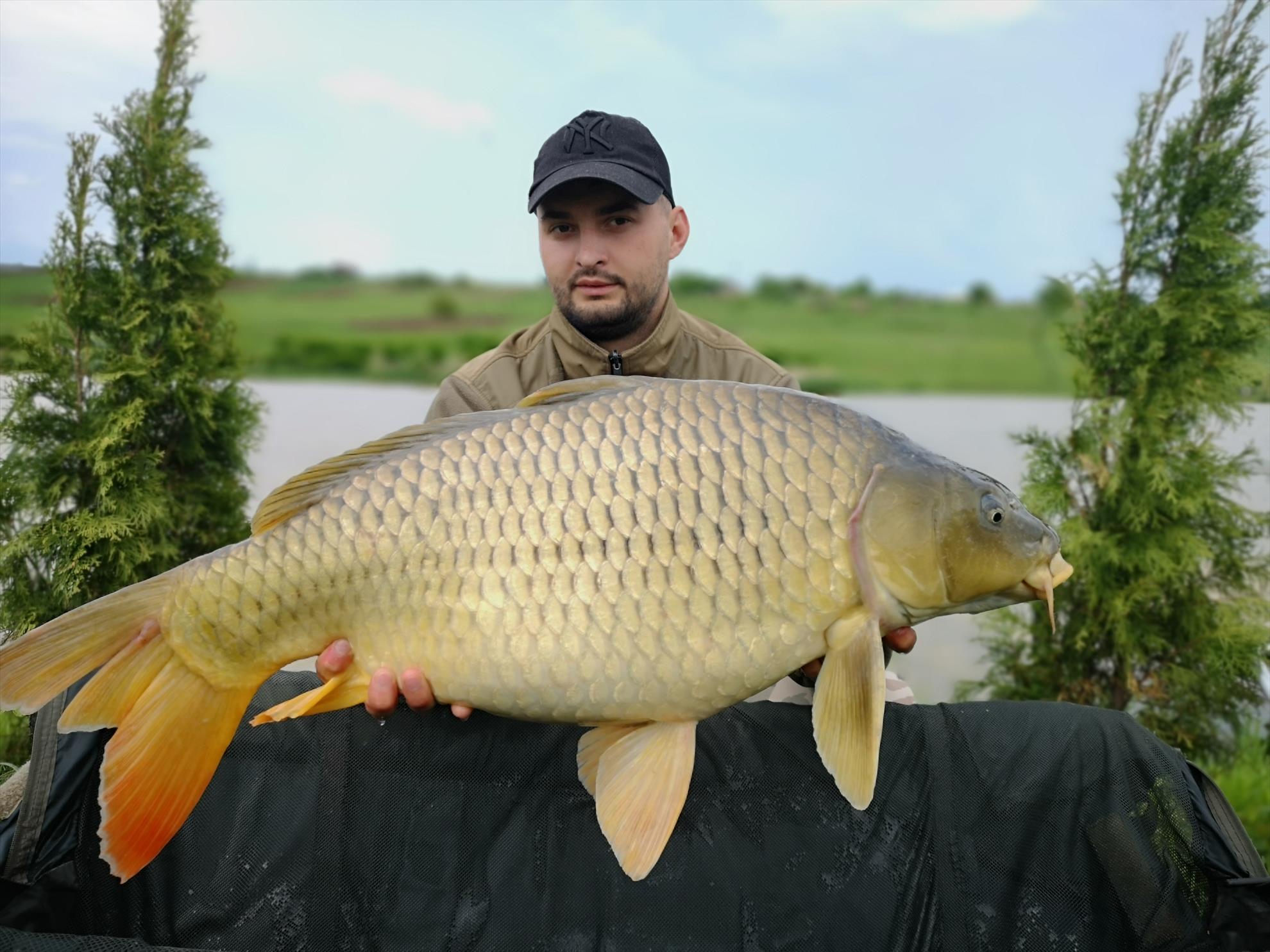 Păușești - img20190518145427.jpg